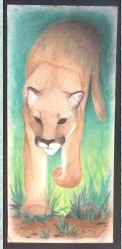 Ghost of Yellowstone